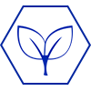 Sustainable Growth
