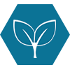 Sustainability